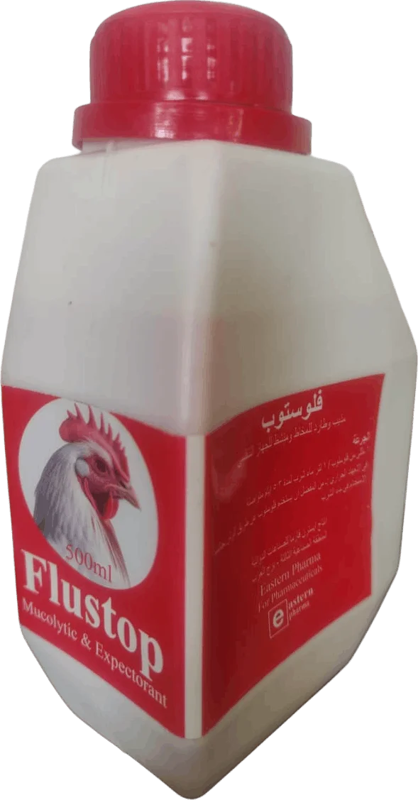 فلوستوب
