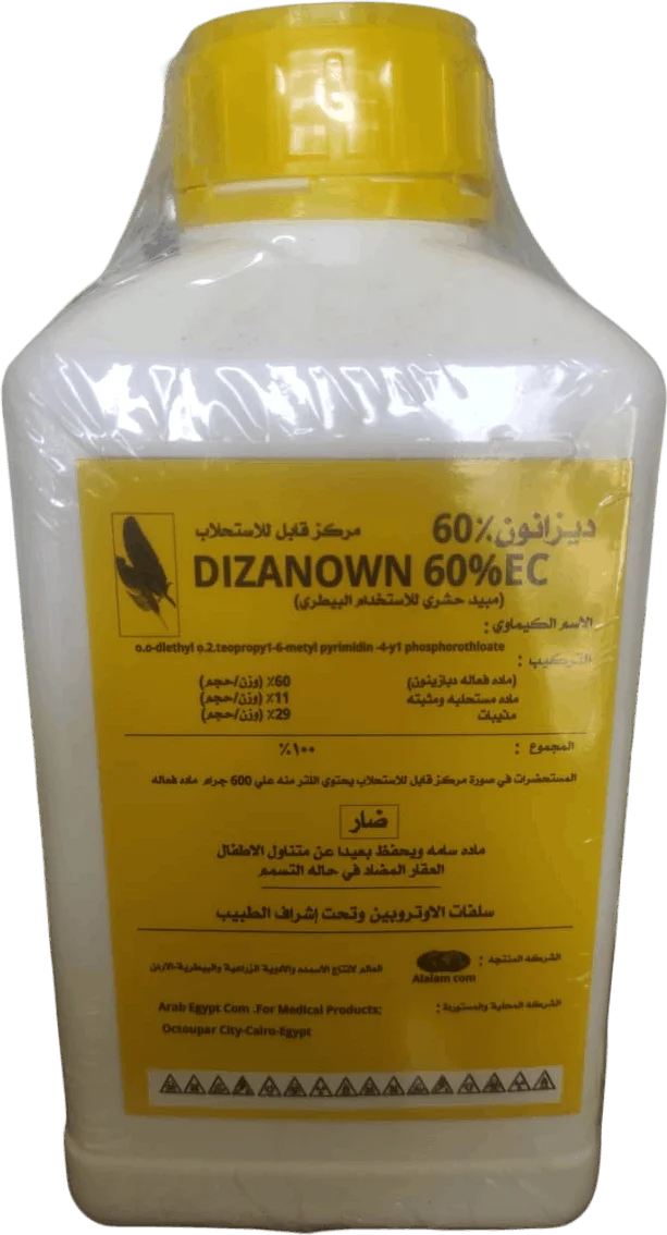 ديزانون