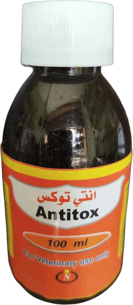 أنتي توكس