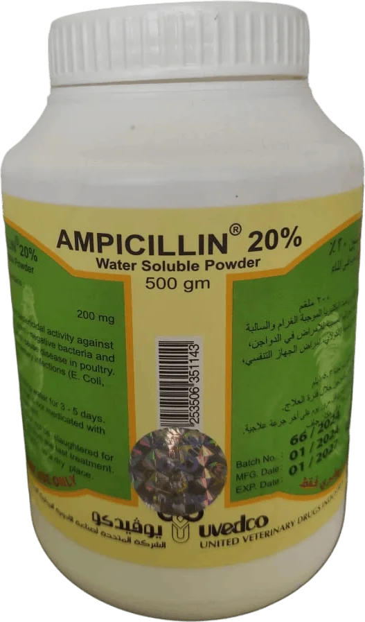أمبسيلين